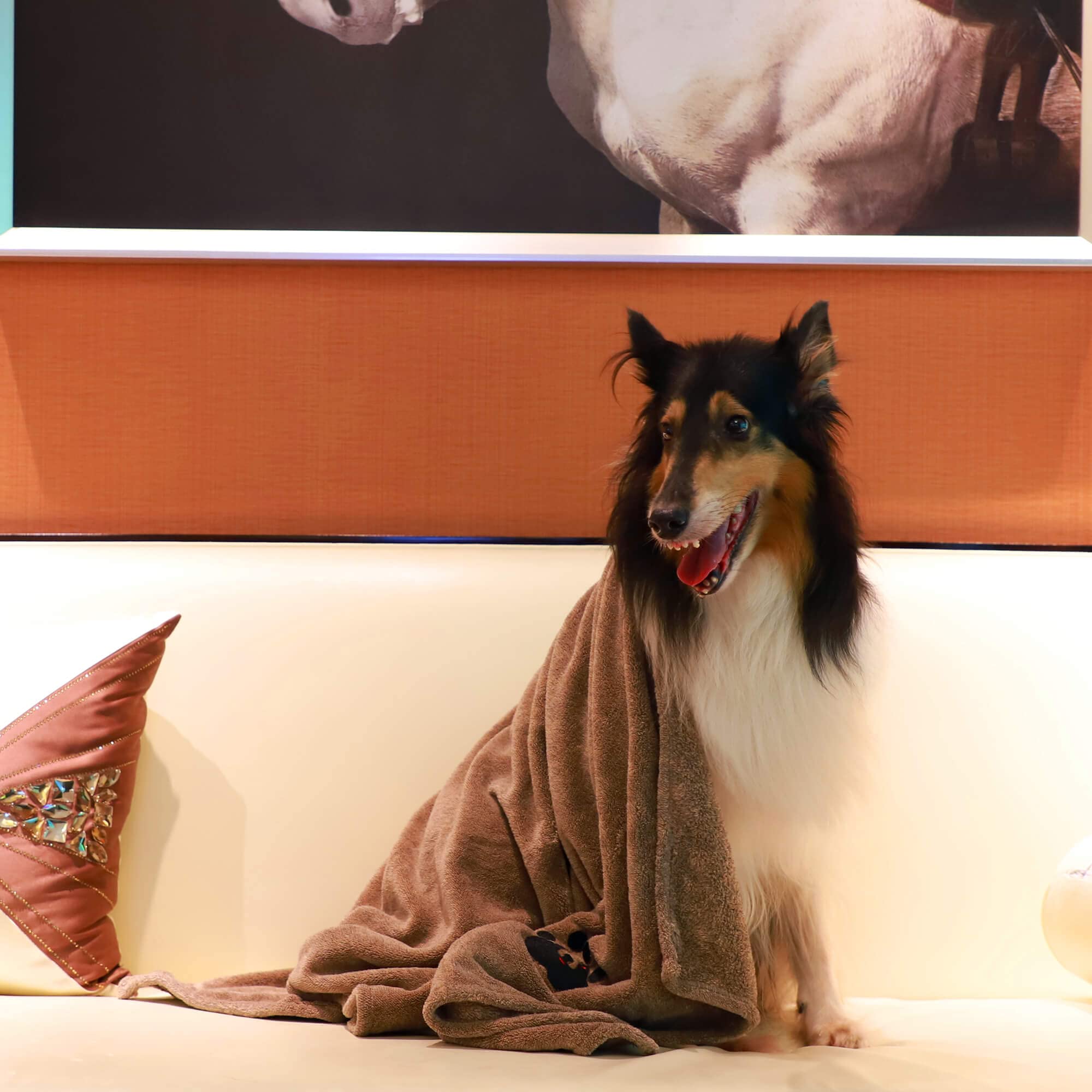 Dogvingpk plush microfiber detail highlights softness and durability.