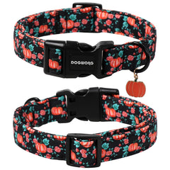 DogWONG adjustable pumpkin collar highlighting secure D-ring for easy leash attachment.