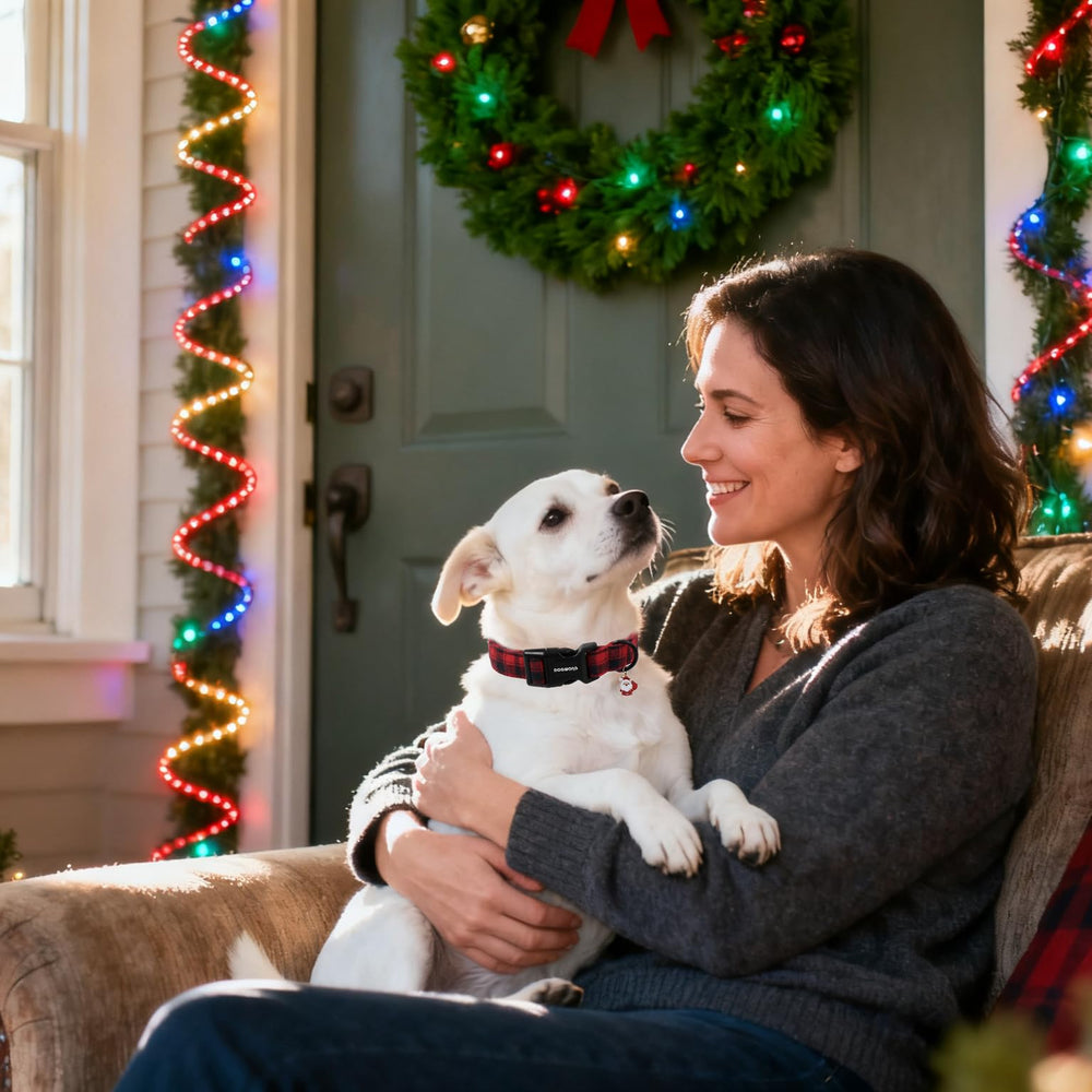 DOGWONG Christmas plaid collar on a medium dog illustrating comfortable fit.