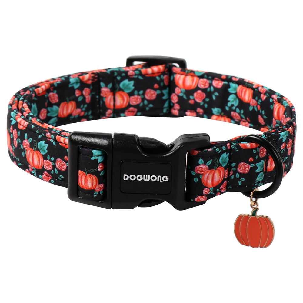 DogWONG Fall Dog Collar pumpkin floral design for festive autumn look and comfort.