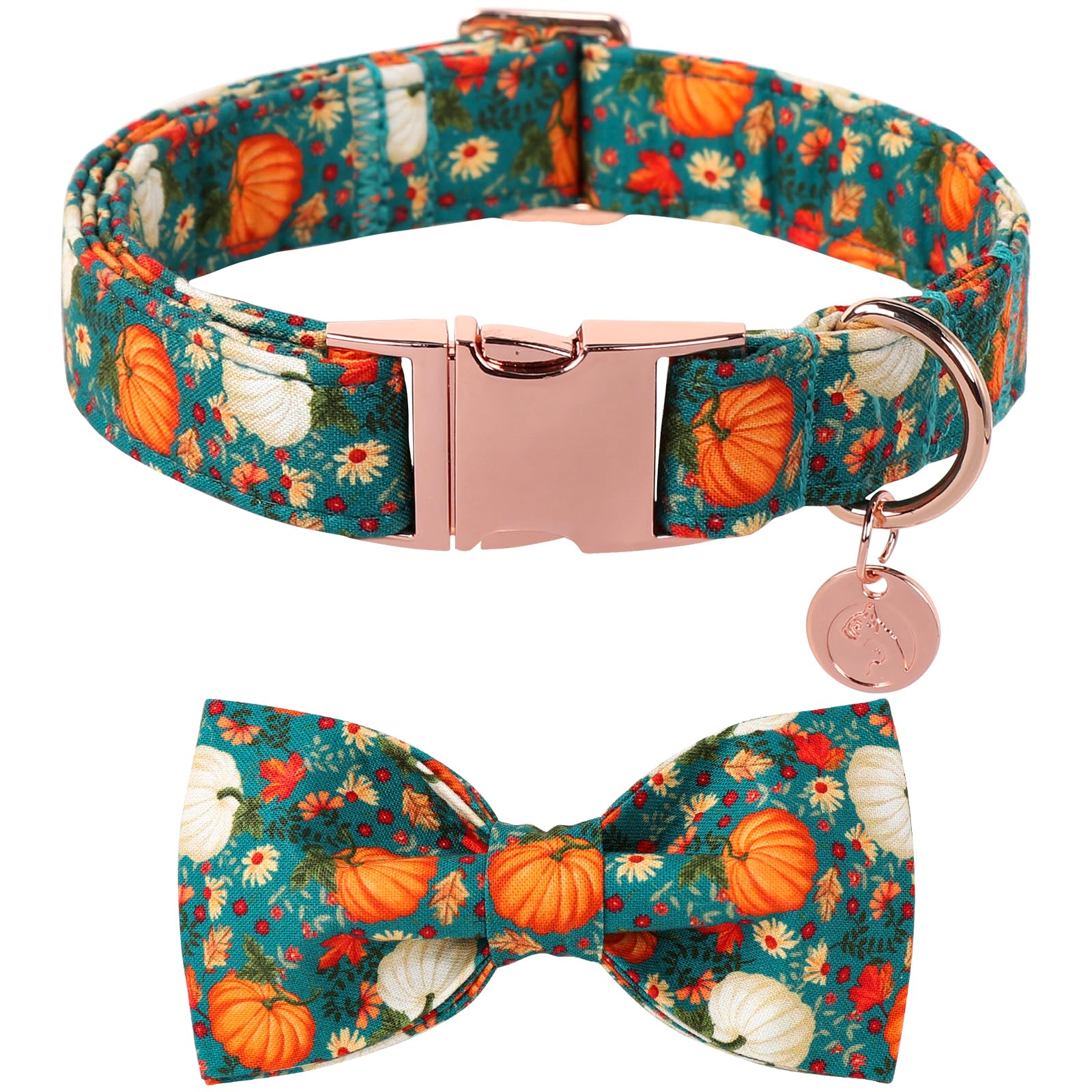 DOGWONG Fall Halloween pet collar with bowtie on a small dog for festive photos