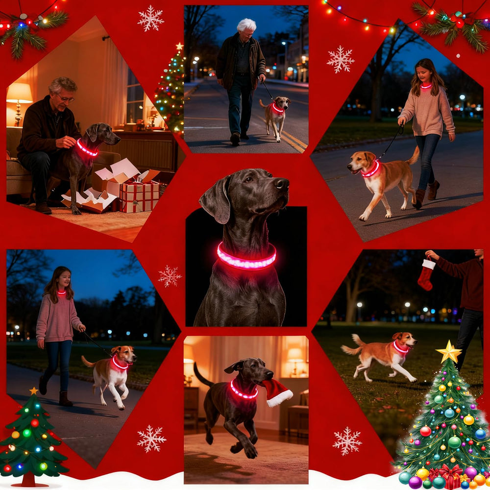 DOGWONG LED Dog Collar long range visibility up to 1000 feet for safety during night walks