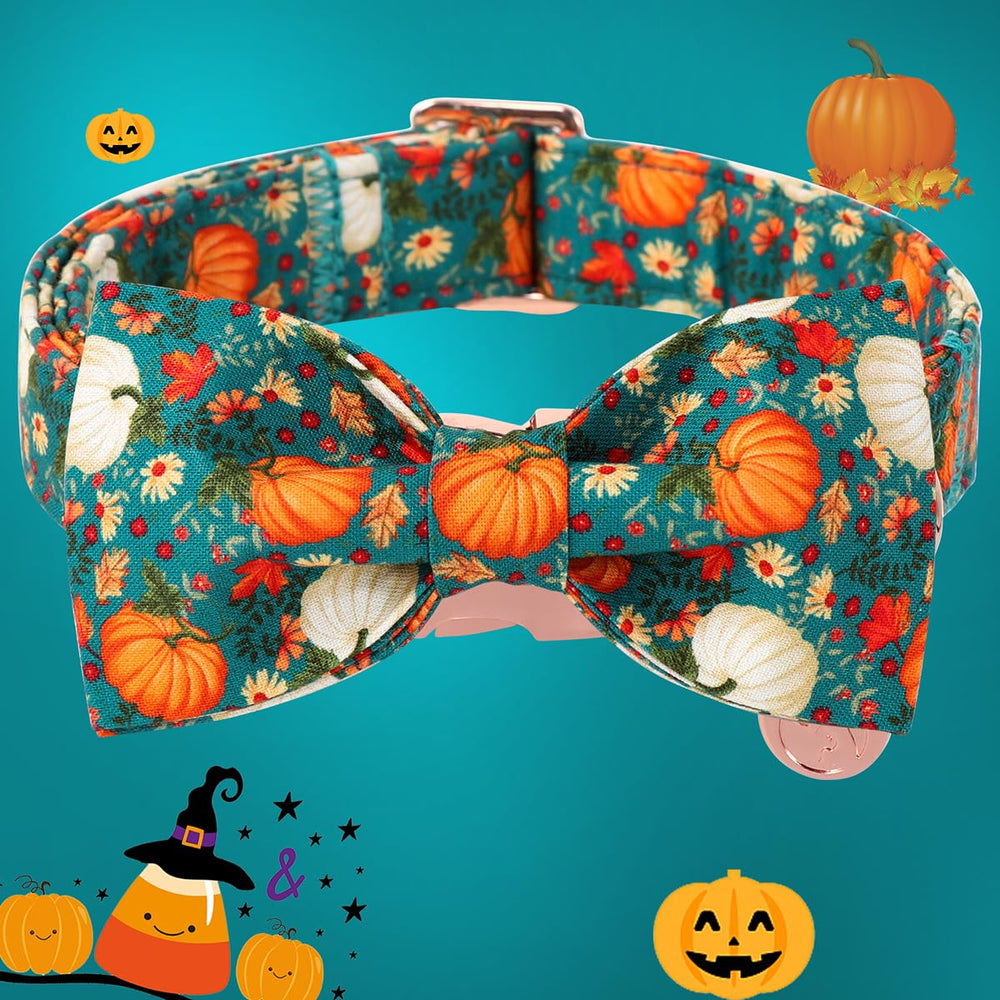 DOGWONG pumpkin design collar highlights playful style during autumn outings