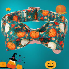 DOGWONG pumpkin design collar highlights playful style during autumn outings