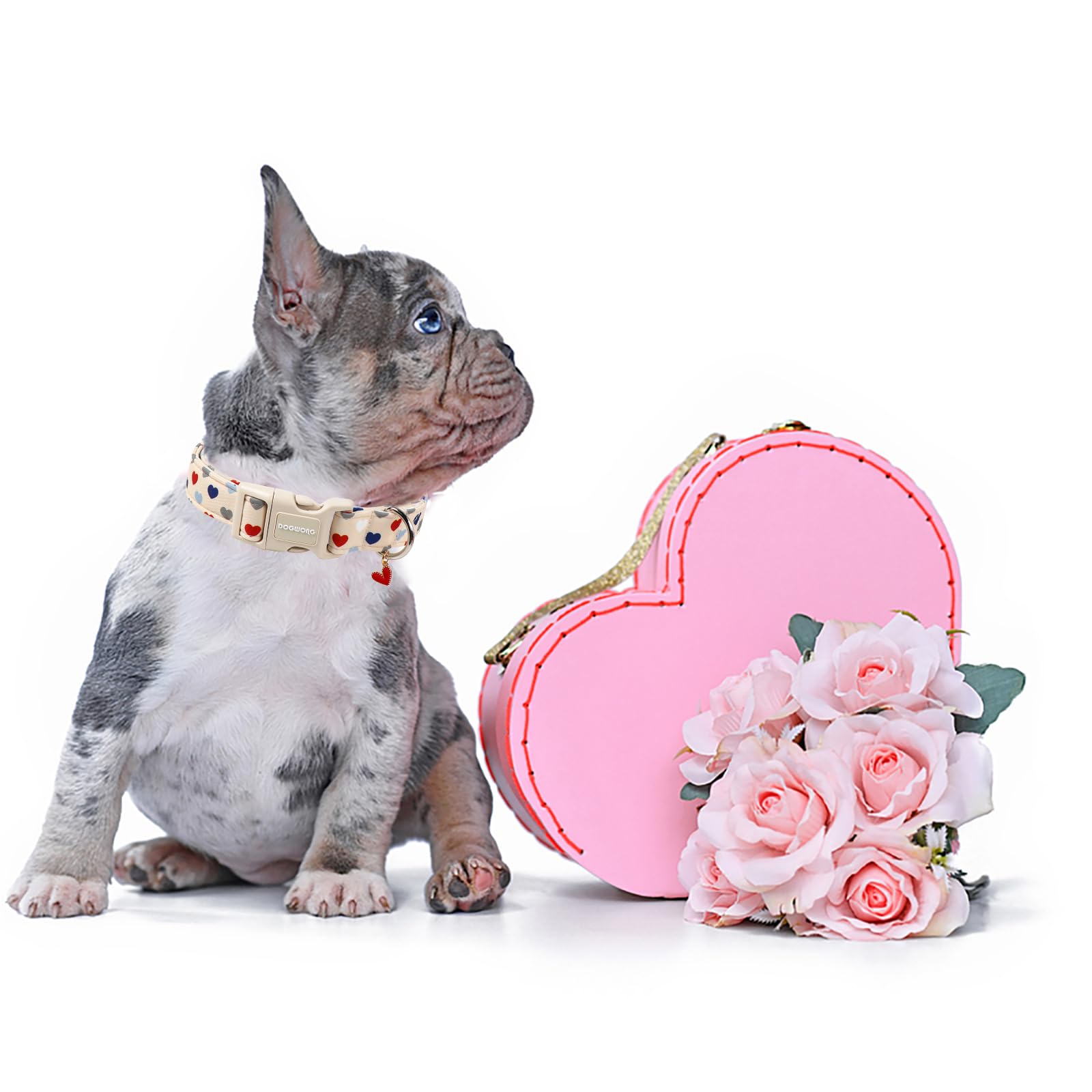DOGWONG Valentine's Collar with D-ring and tag area for quick leash attachment.