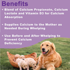 Dogzymes Canine Whelping Calcium Paste ingredients highlight Calcium Propionate, Lactate and D3