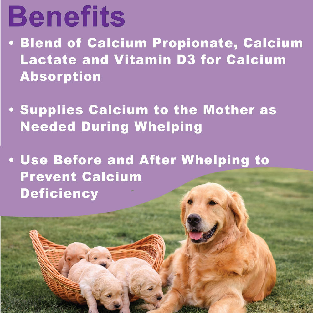 Dogzymes Canine Whelping Calcium Paste label highlights ingredients supporting calcium absorption.