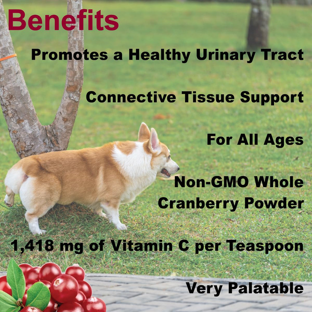 Dogzymes Cran Tri C being mixed into pet food for easy administration