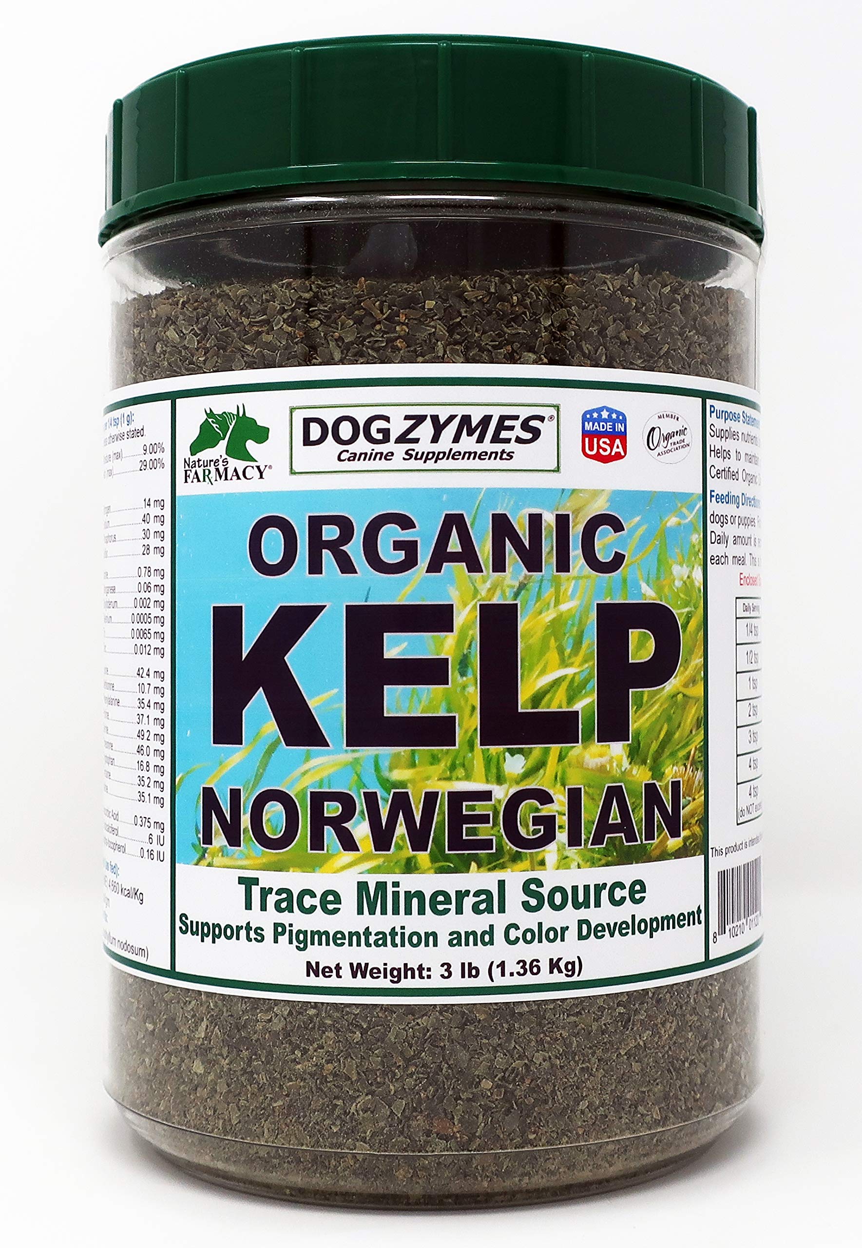 Dogzymes Organic Norwegian Kelp for Pets bottle shows natural mineral supplement for thyroid-supporting nutrition.