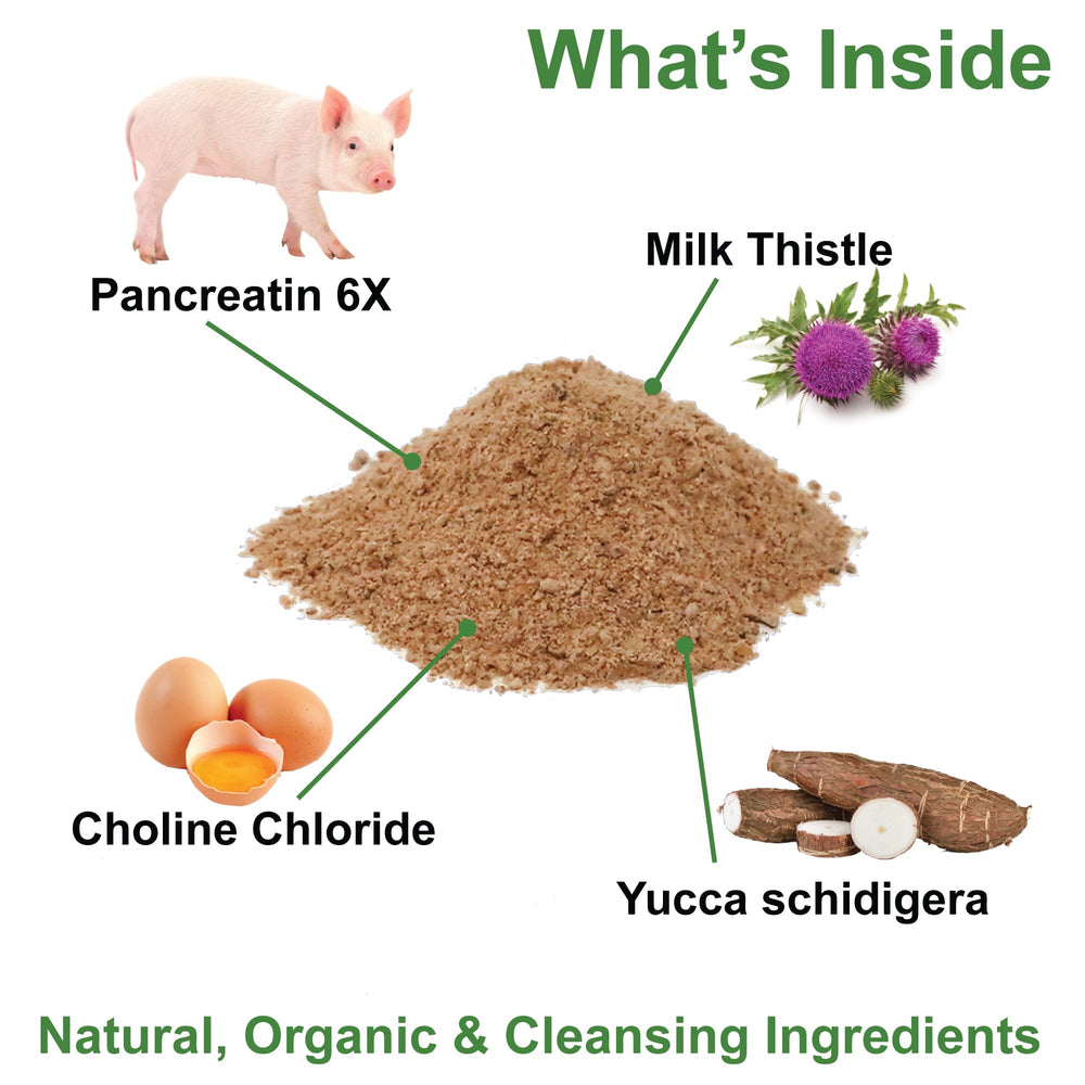 Dogzymes Pancreas Support serving scoop over countertop to ease digestion.