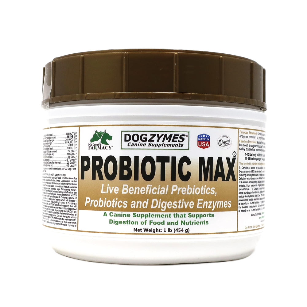 Dogzymes Probiotic Max bottle front highlighting gut health support.