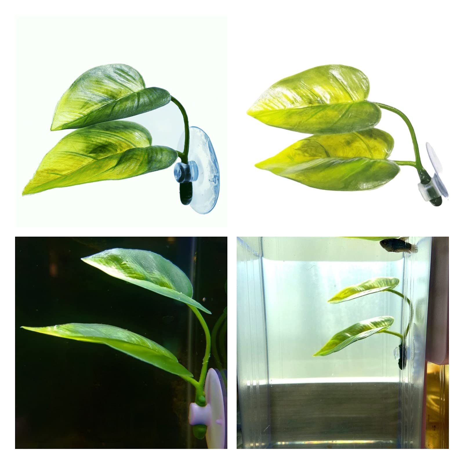 DOIDO Betta Leaf Pad uses high-quality material for durable, colorfast decor.