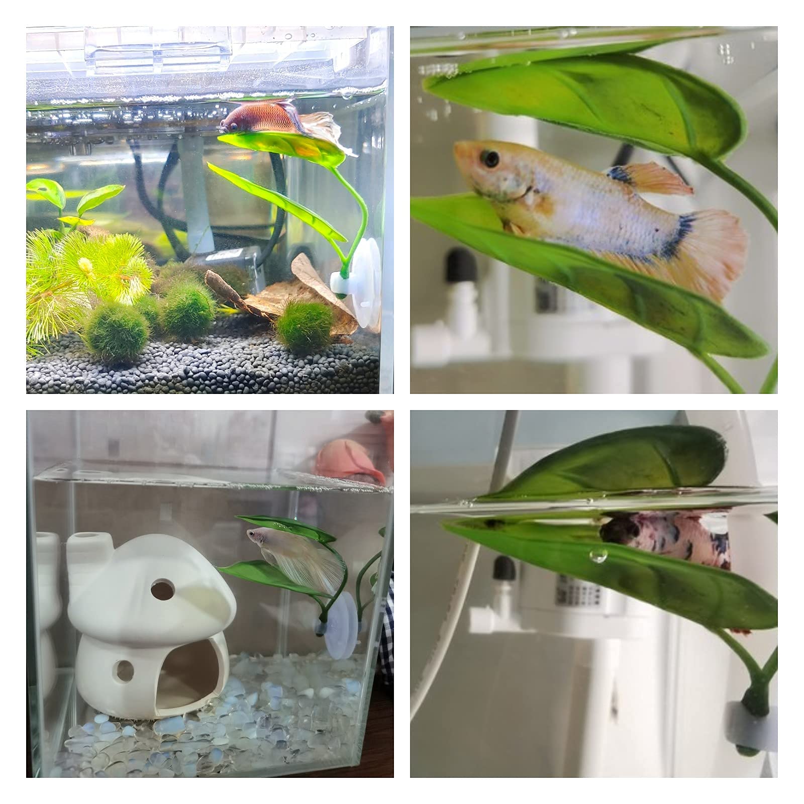 DOIDO Betta Leaf Pad leaves sway with water for a natural look.