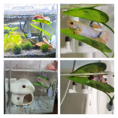 DOIDO Betta Leaf Pad leaves sway with water for a natural look.