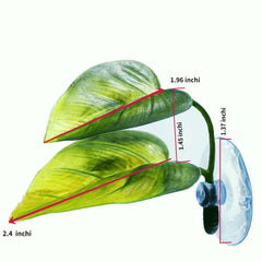 DOIDO Betta Leaf Pad with suction cup keeps leaves fixed in tank.