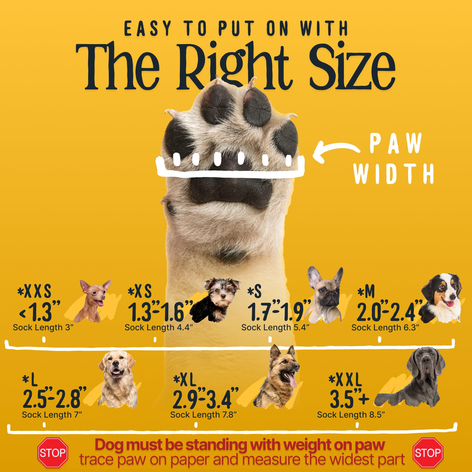 DOK TigerToes talla media para perros de tamaño medio y ajuste cómodo.