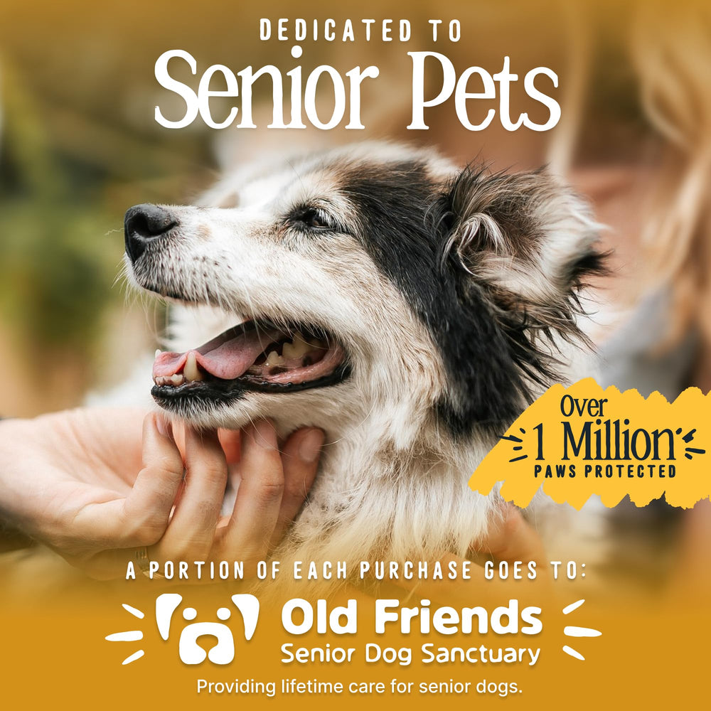 DOK TigerToes ayuda a perros seniors con mayor estabilidad al caminar.