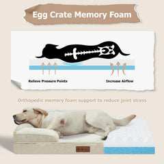 Dokdogs 3-sided bolster for head and neck support enhances curling and cozy resting
