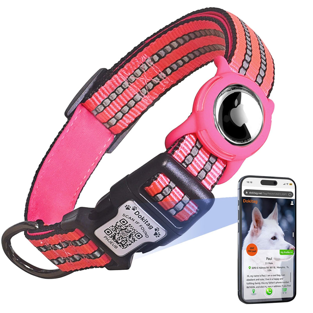 Dokitag Reflective dog collar rose red for nighttime visibility