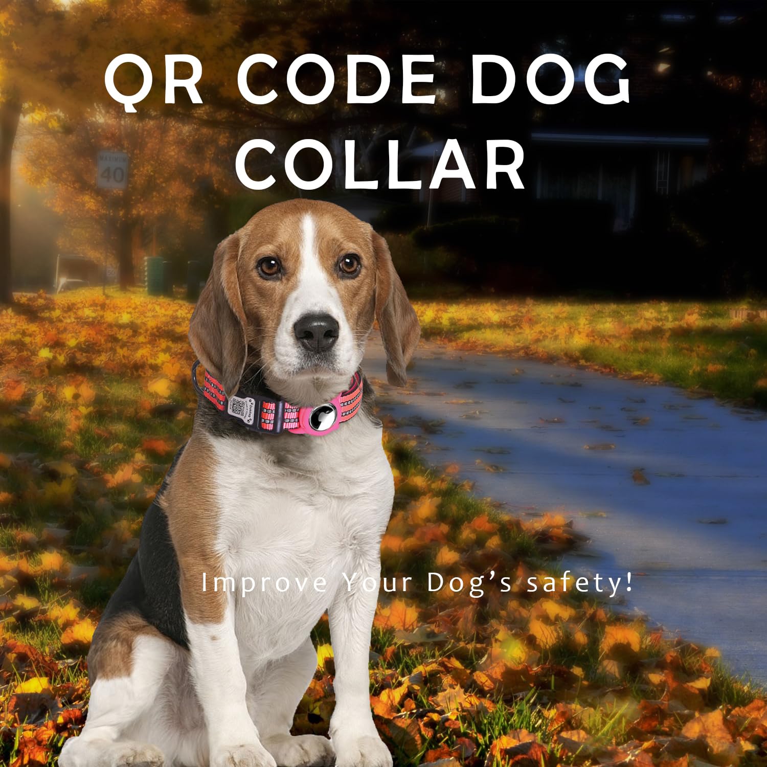 Dokitag size-range collar fits small to large dogs