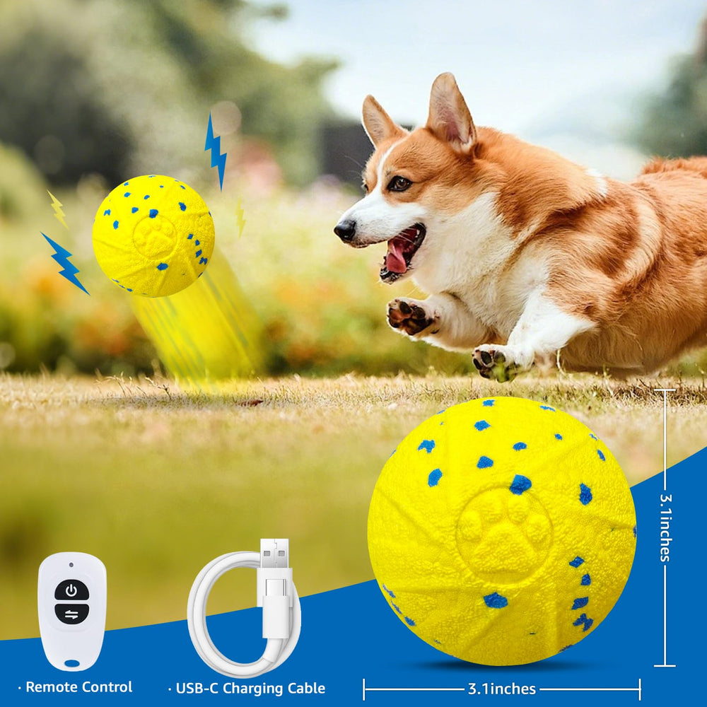 Dolita Interactive Dog Ball in use during solo play with remote nearby