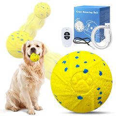 Dolita Interactive Dog Ball with remote for engaging play from afar