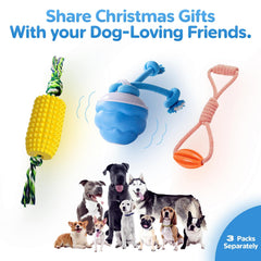 DOLPH HUG remote-control ball engages dogs with interactive play.