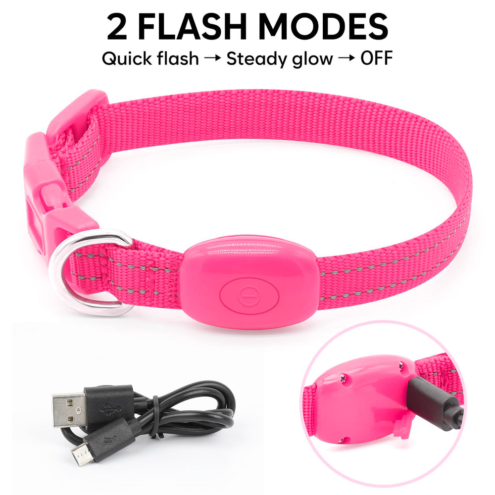 Domagiker dual-flash mode collar offers attention without being overwhelming.