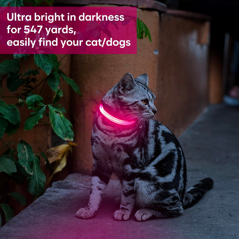 Domagiker LED collar shows charging status for quick ready-to-use.