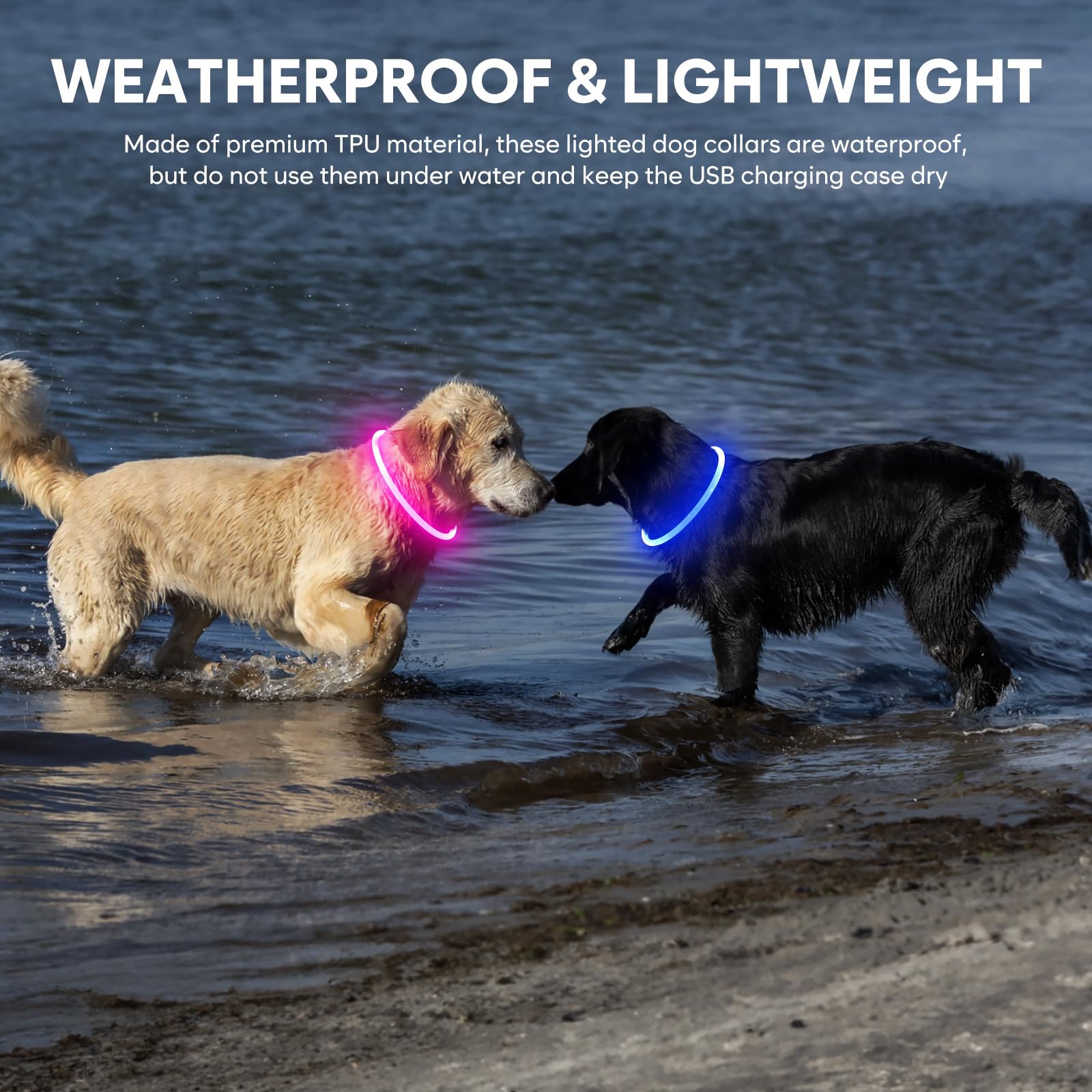 Domagiker light-up dog collar blue adjustable cuttable design fits any neck
