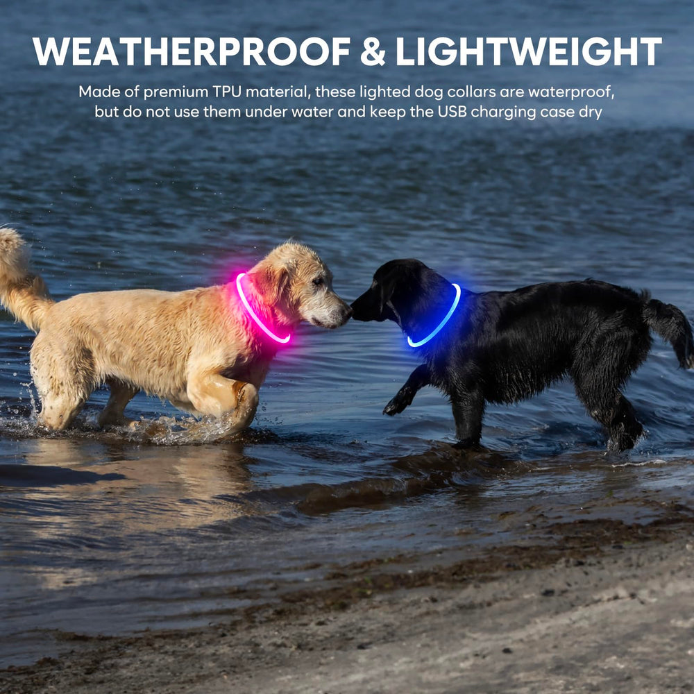 Domagiker light-up dog collar blue adjustable cuttable design fits any neck