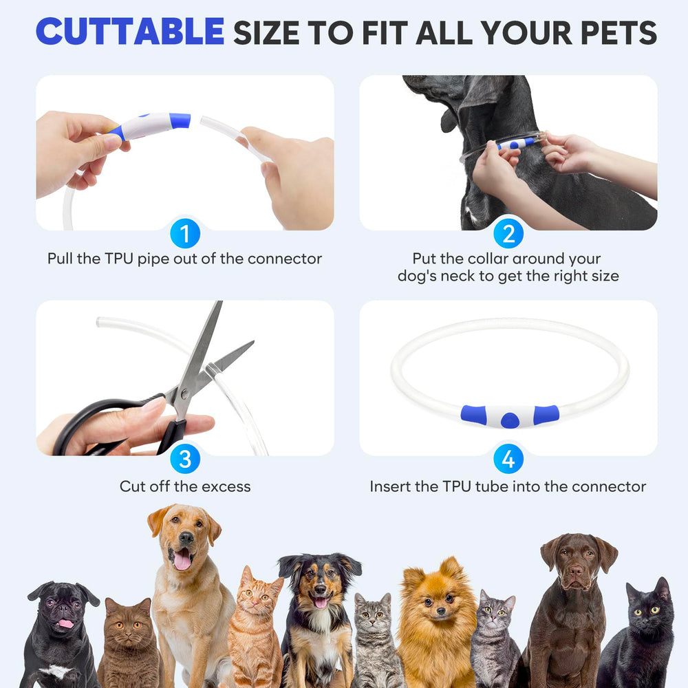 Domagiker light-up dog collar blue night visibility helps locate dogs quickly
