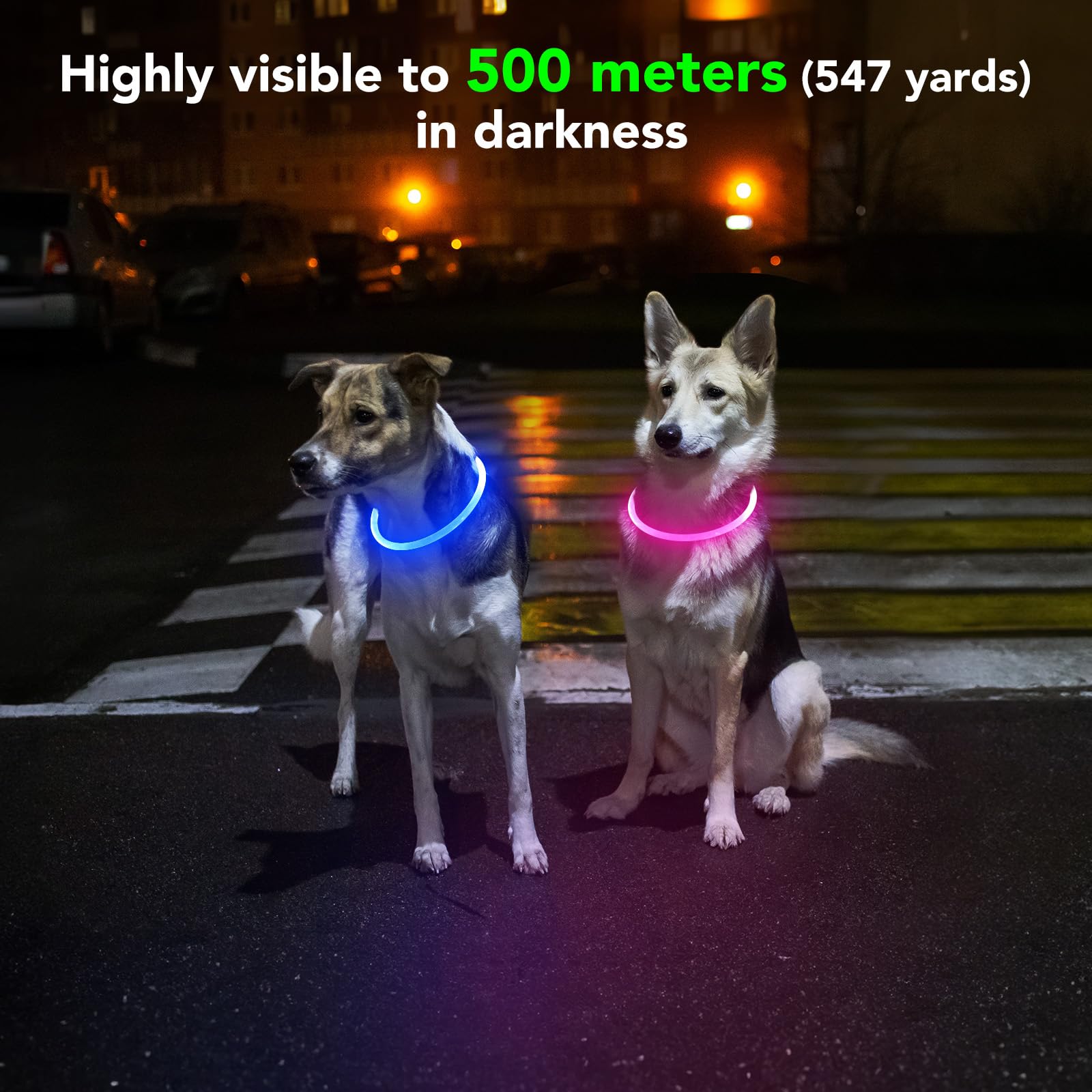 Domagiker light-up dog collar blue USB charging setup for quick recharges