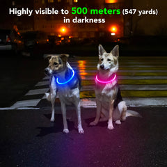 Domagiker light-up dog collar blue USB charging setup for quick recharges