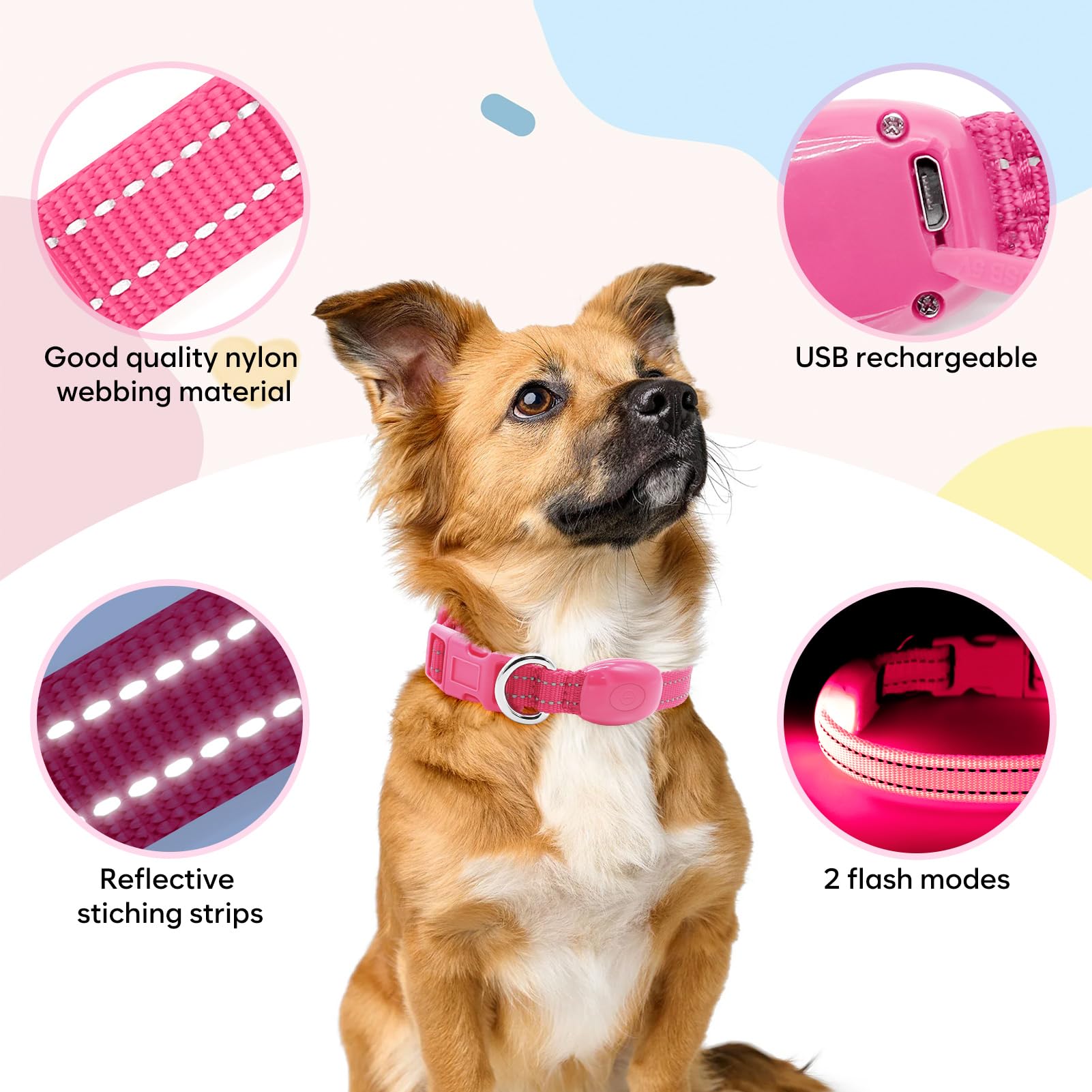 Domagiker small-pet collar fits compact dogs and cats up to 12 inches.