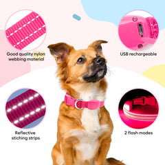 Domagiker small-pet collar fits compact dogs and cats up to 12 inches.