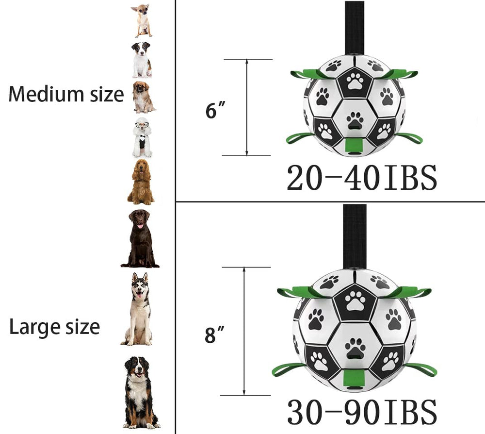 Domchan dog soccer ball shows an erratic bounce for dynamic chasing.