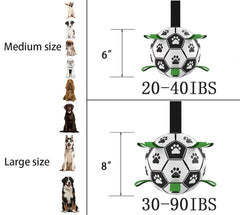 Domchan dog soccer ball shows an erratic bounce for dynamic chasing.