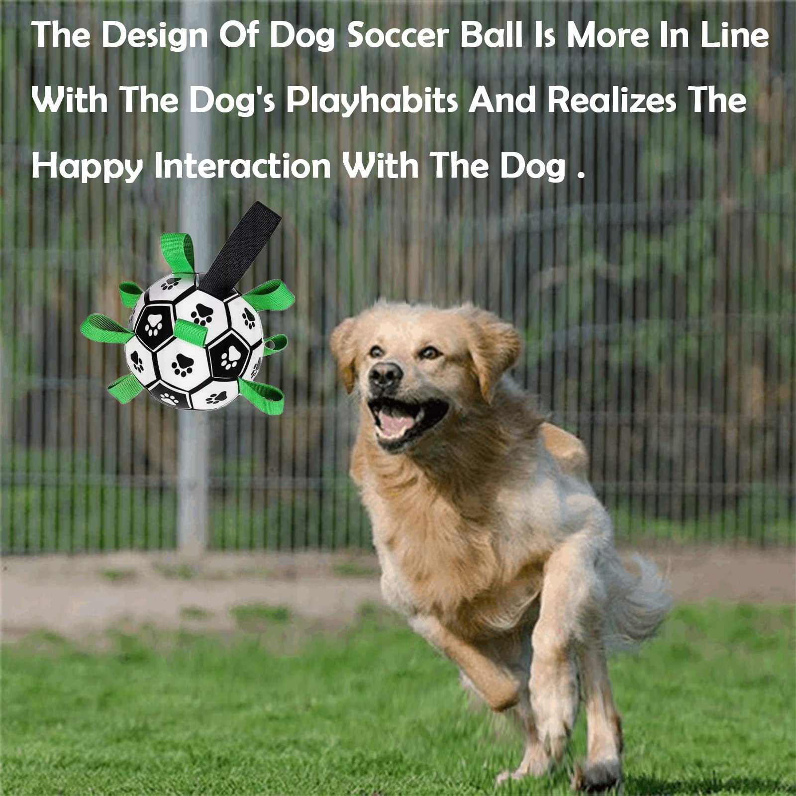 Domchan dog soccer ball with rope and tug-ready design for play.