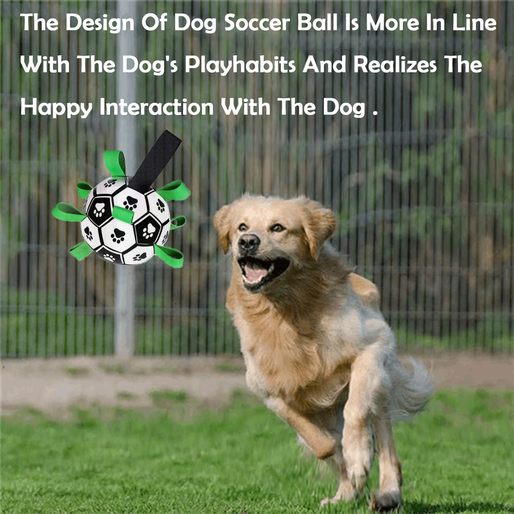 Domchan dog soccer ball with rope and tug-ready design for play.
