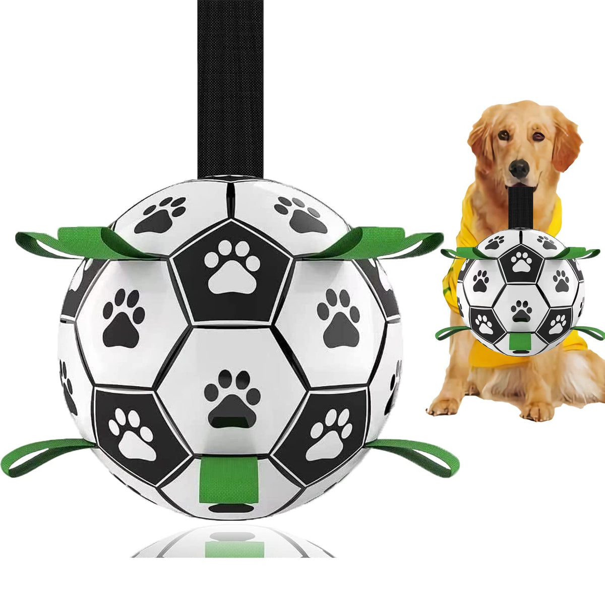 Domchan soccer ball 8inch in pool demonstrates buoyant water play for dogs.
