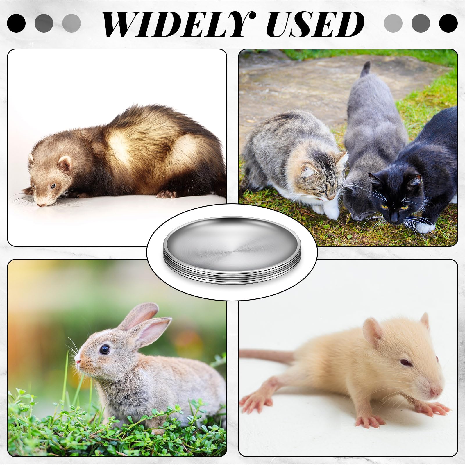 Domensi bowls hold water, snacks, and wet food with minimal flavor interference.