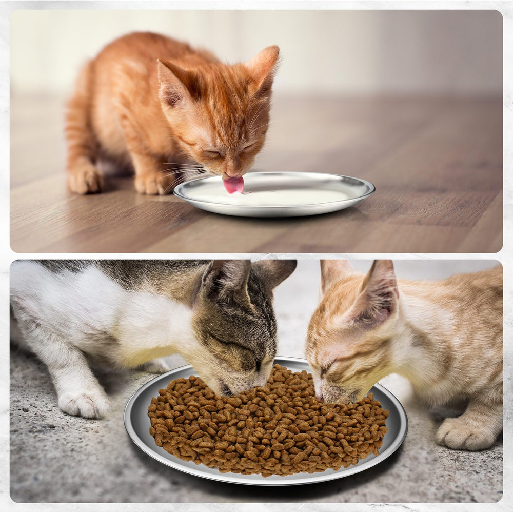 Domensi easy-to-clean, flat-profile bowls help keep feeding stations neat.