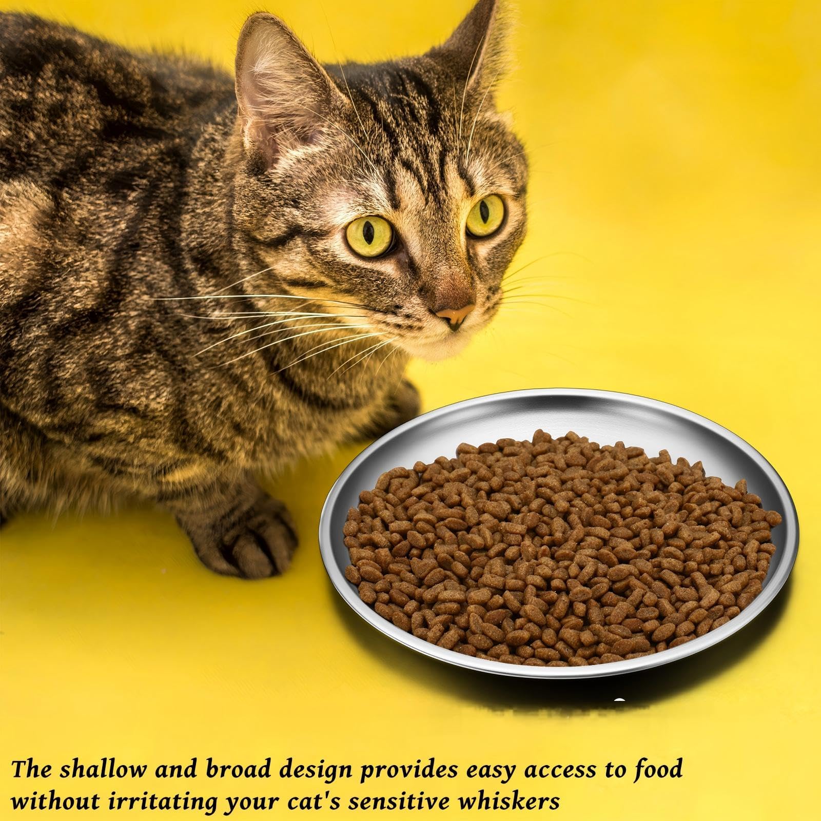 Domensi feeding setup suits living rooms, bedrooms, and cages for small pets.