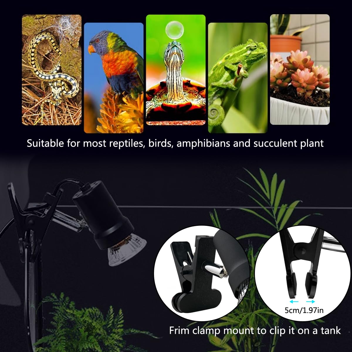 DOMICA 35W basking bulb creates gentler warmth for smaller reptiles or cooler terrarium zones.