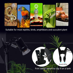 DOMICA 35W basking bulb creates gentler warmth for smaller reptiles or cooler terrarium zones.