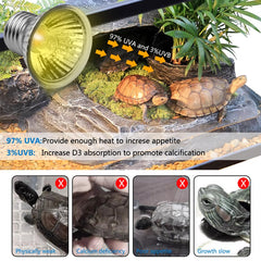 DOMICA 50W basking bulb provides focused heat for basking spots and active reptile behavior.