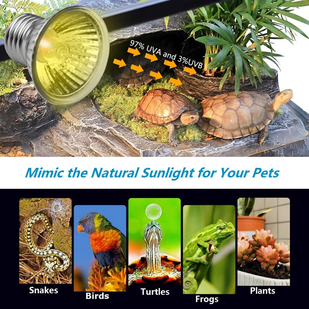 DOMICA 50W UVB light bulb included supports reptile warmth and visibility.