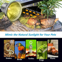 DOMICA 50W UVB light bulb included supports reptile warmth and visibility.