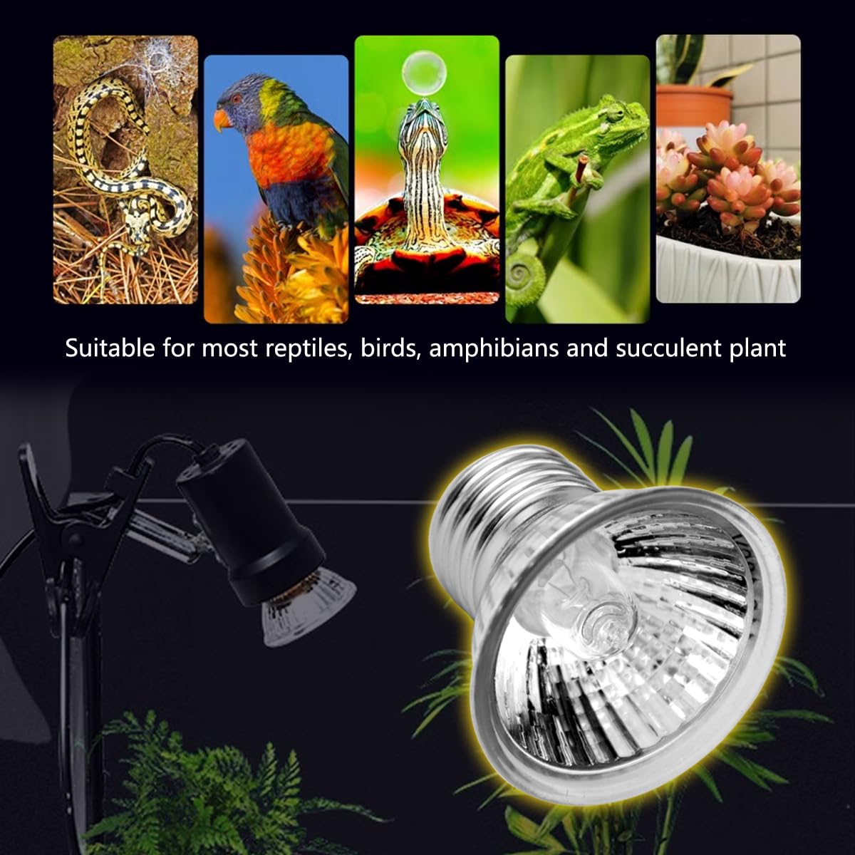 DOMICA basking-spot light simulates sunlight for reptile activity and health.